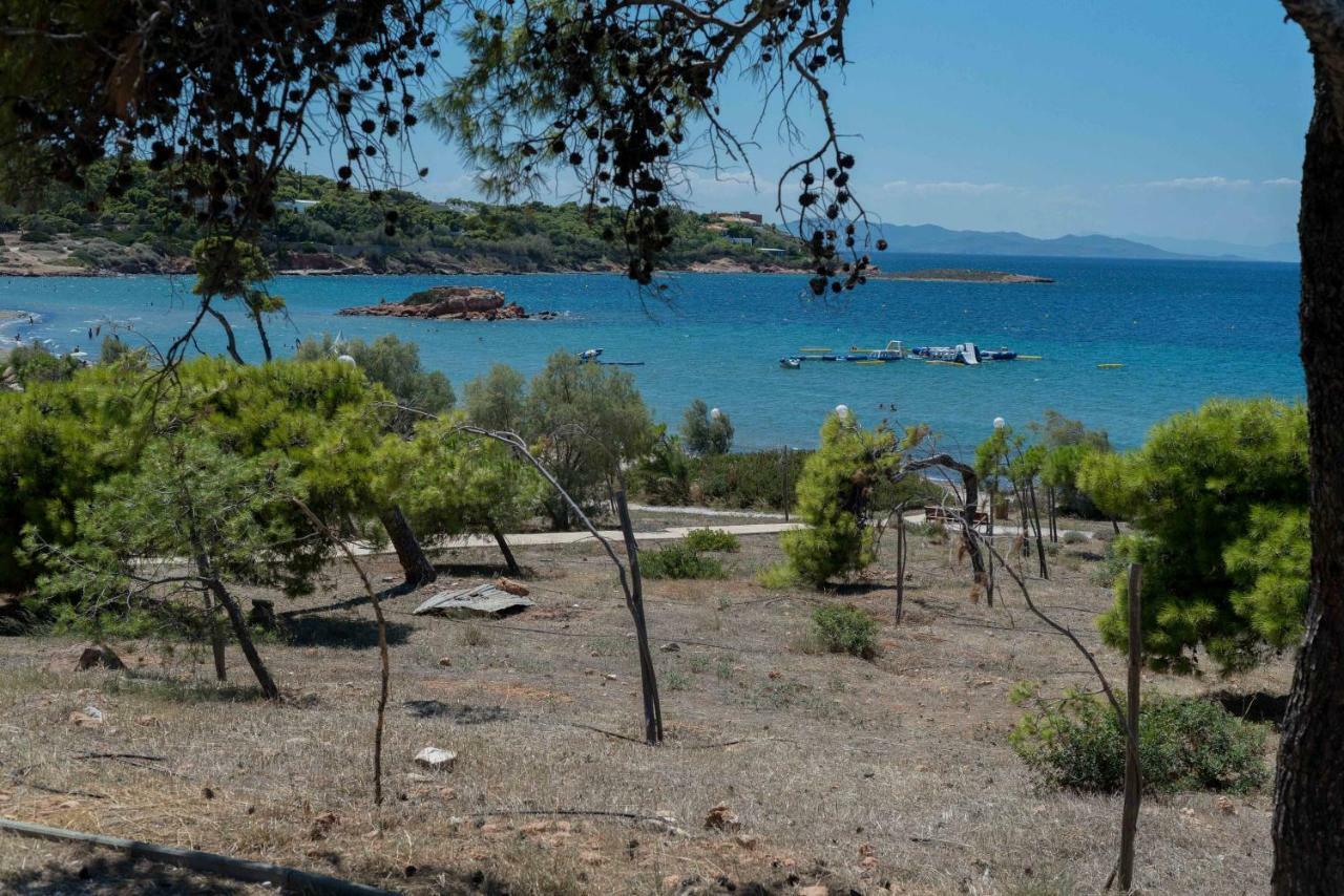 Seaside House In Voula Lejlighed Athen Eksteriør billede